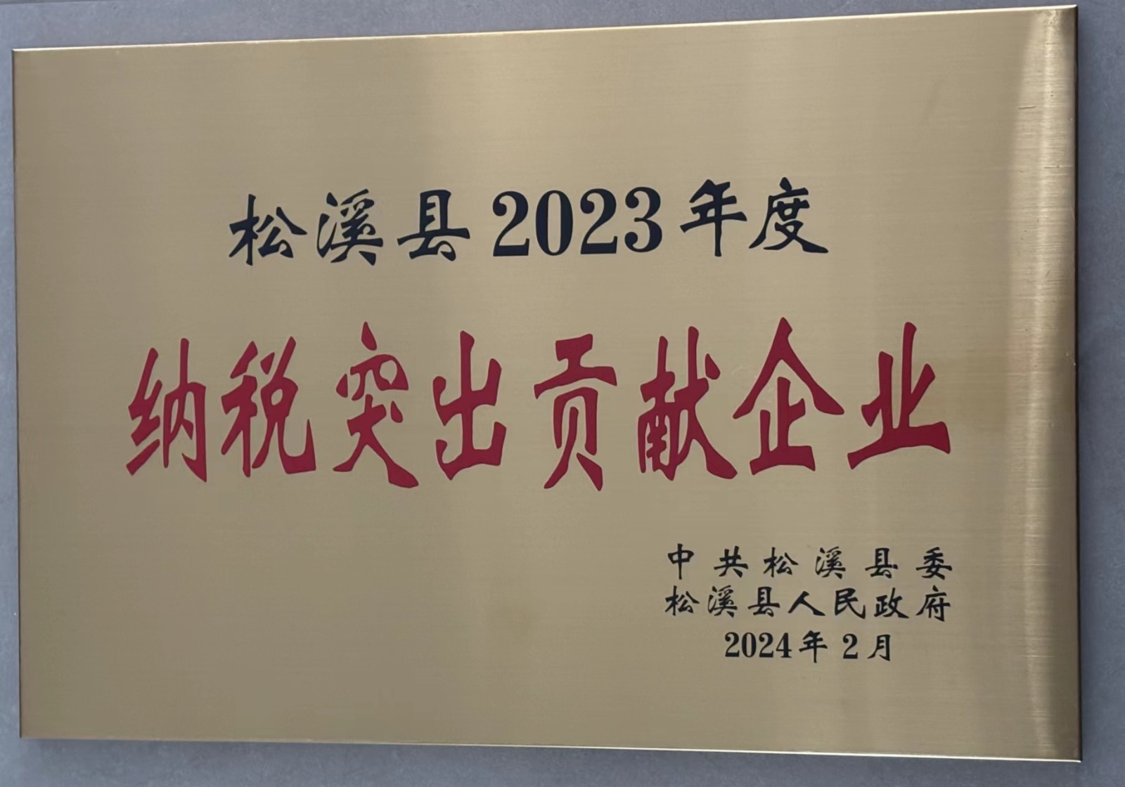 喜報(bào)！易順建工集團(tuán)榮獲“松溪縣2023年度納稅突出貢獻(xiàn)企業(yè)”稱號(hào)